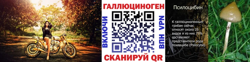 Псилоцибиновые грибы Psilocybe  где купить наркоту  Нахабино 